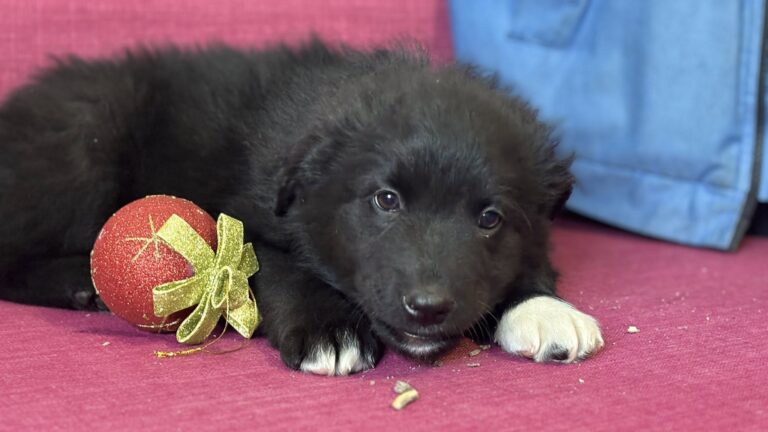 604554278_122224439432122691_2999050163773581644_n