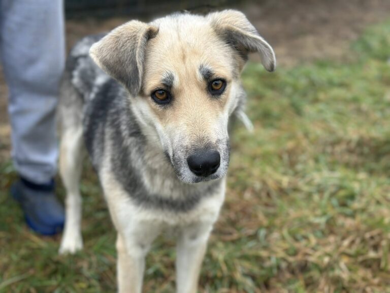 605050243_26270941752492806_1368438158399262355_n