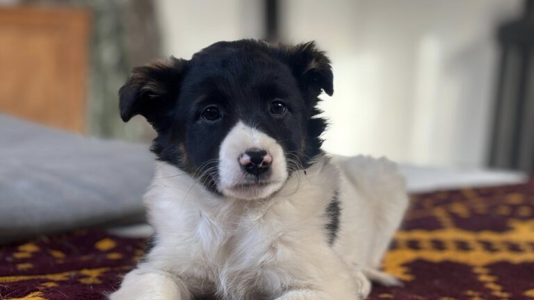 605297699_122224546400122691_6220006405035819023_n