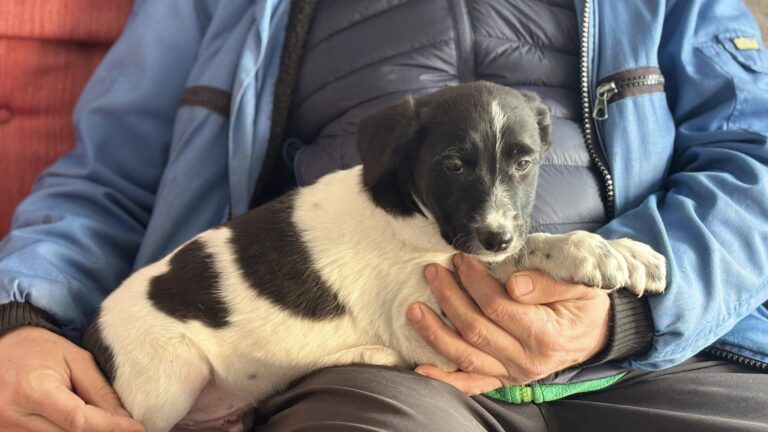 605732927_122224474250122691_4696219091487345389_n