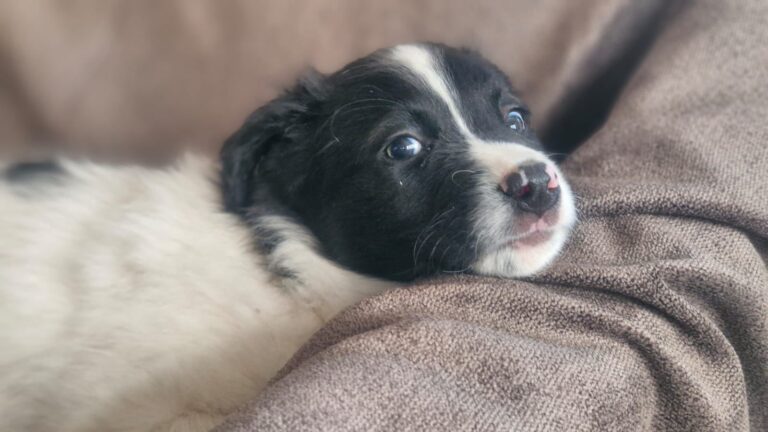 607291236_122224552436122691_6525065459261480436_n