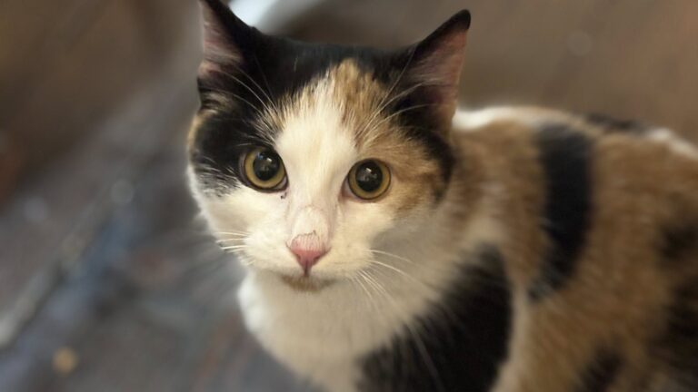 607610909_122225309072122691_6549792158214107936_n