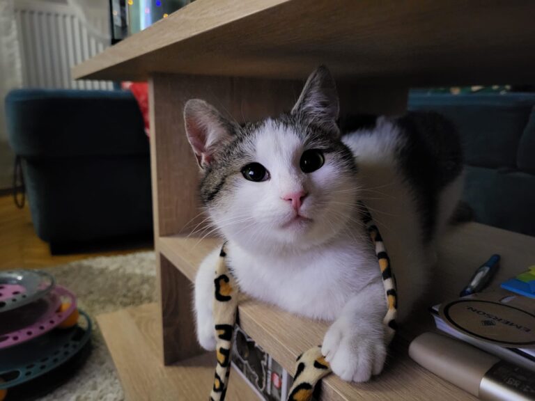 608138229_122225472554122691_1576685562911741724_n