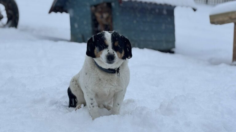 608793872_122225349764122691_7898301431963173127_n