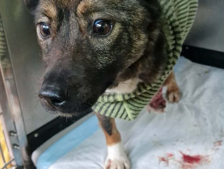 608972310_122156801870712445_4294962073341120326_n