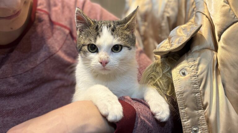 611154234_122225361728122691_6678355110689586509_n