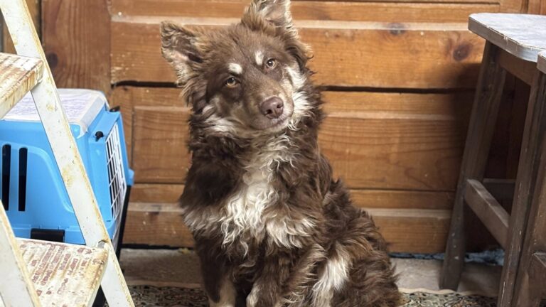 611291638_122225991878122691_1426911555814905386_n