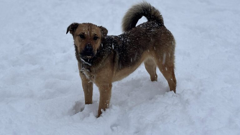 611328582_122225479310122691_6812936193017436537_n