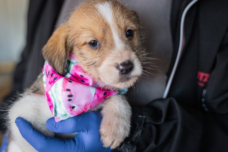 611788512_25493575713668176_2275311794212378468_n