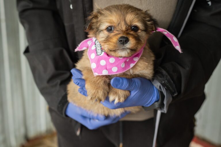 611853169_25494315846927496_8059591246807316429_n