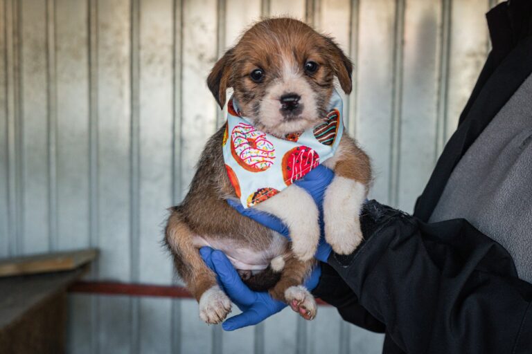 611854043_25493566503669097_4689144805270823878_n