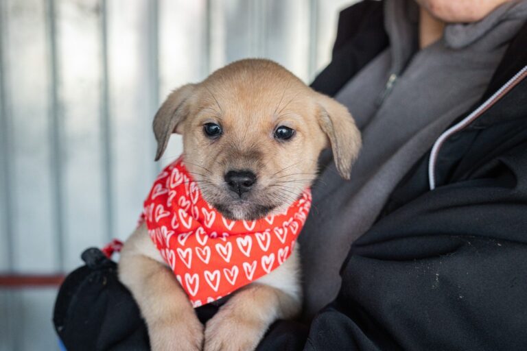 611866835_25493168950375519_9174261108477853081_n