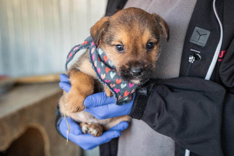 612092156_25493281863697561_424098512277695851_n