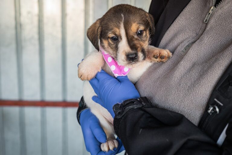 612106822_25493548563670891_7772441208618634316_n