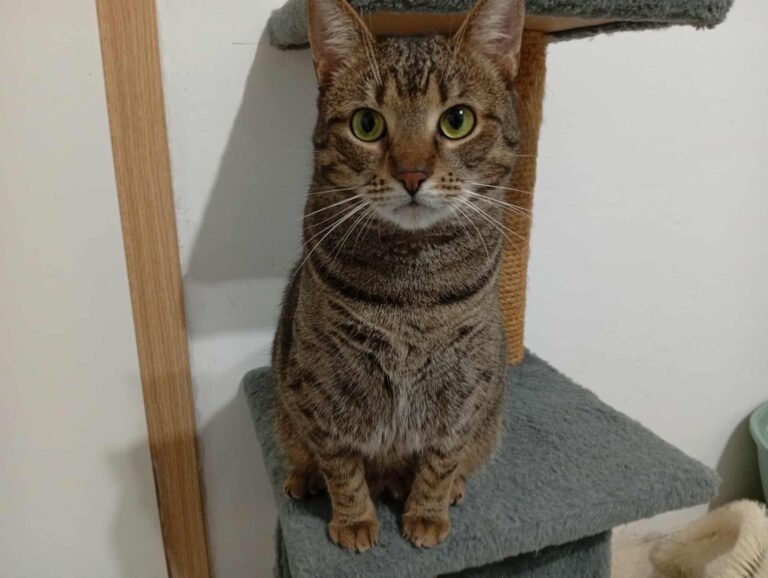 613548787_814195431645199_6549599233710332172_n