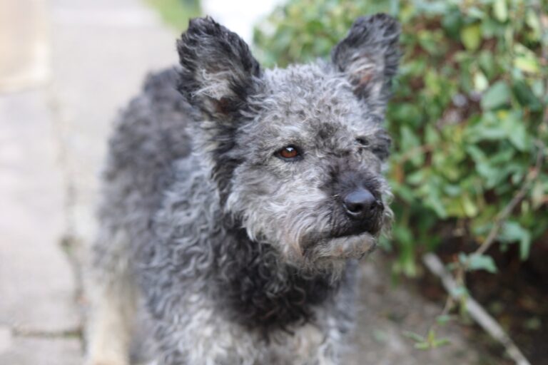 614077978_3076322999230143_6419154282848398279_n