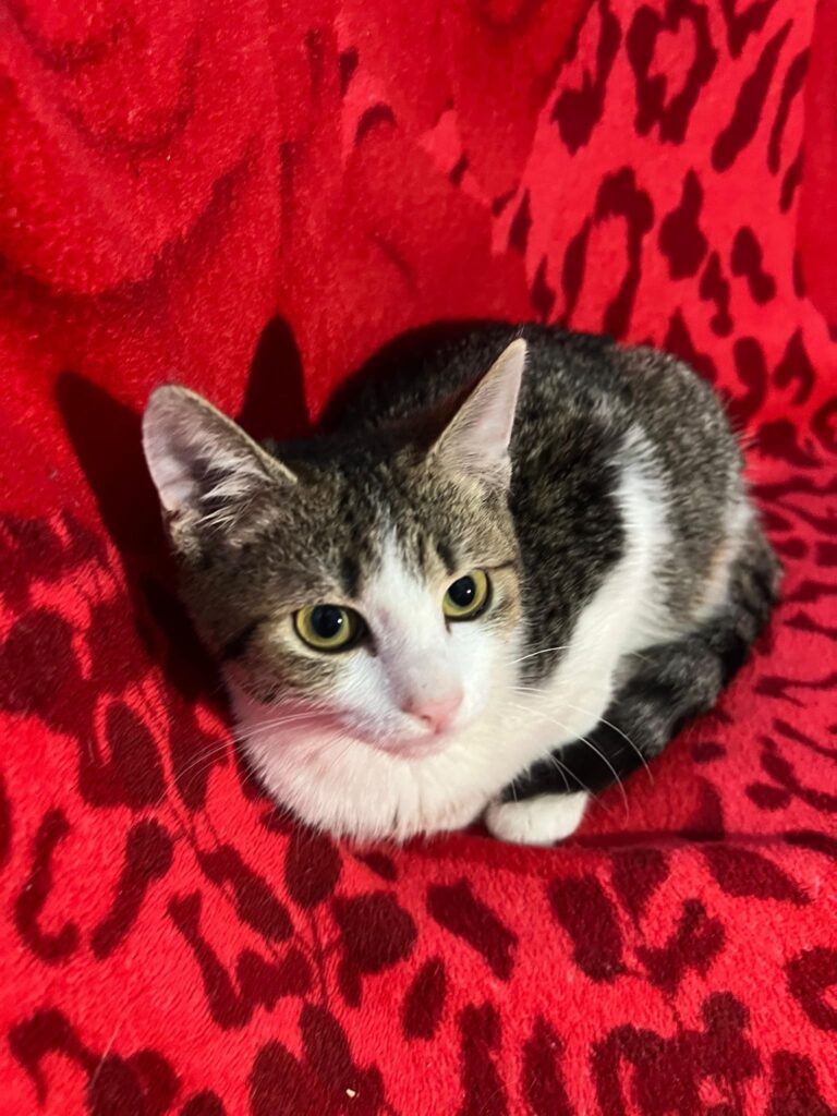 615185997_25798255519806928_8718521325709999656_n