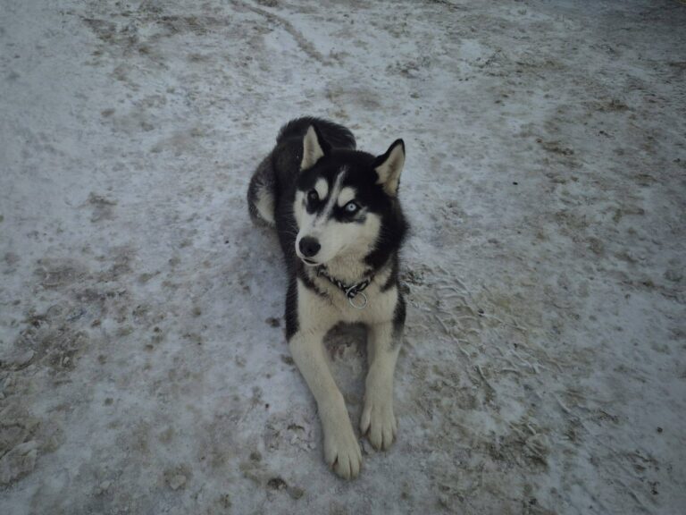 615477312_3377818362380449_8034099326532351214_n