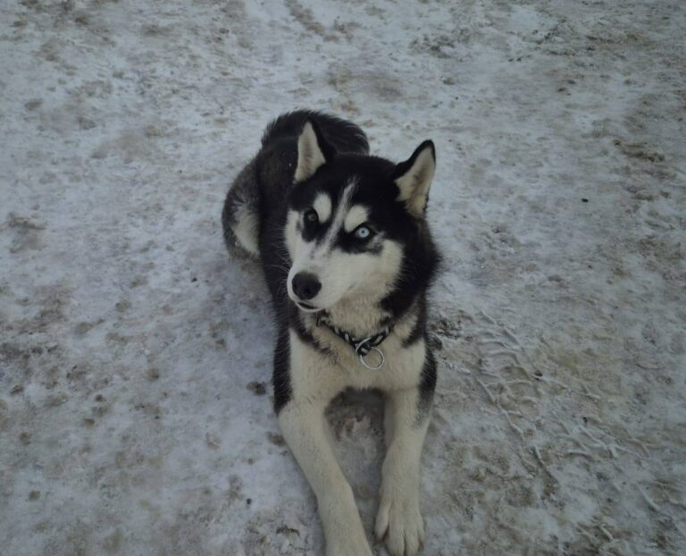 615477312_3377818362380449_8034099326532351214_n