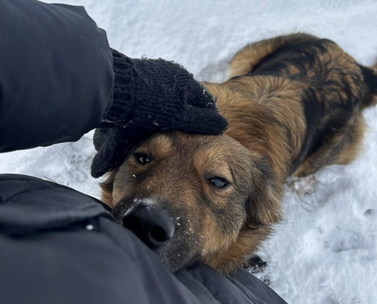 615822405_2085384378865974_3926027627419624424_n