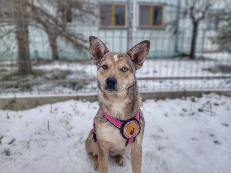 615971377_10241097454917411_1302620381709313453_n