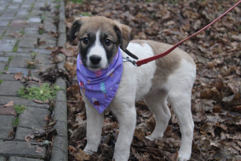 616111267_25583807041311709_4194067053260924324_n