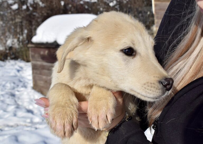 616429189_4175604189356051_1536238455892356978_n