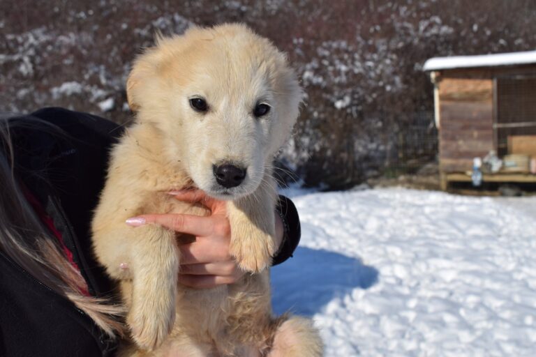 616448949_4175666729349797_4262756972044895364_n