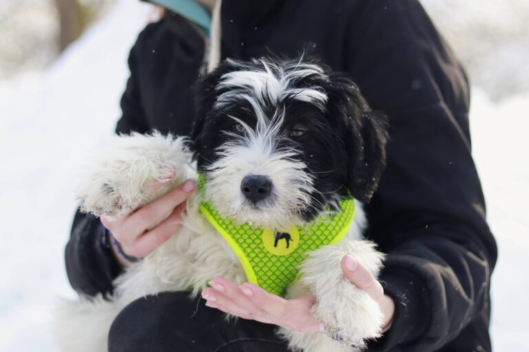 616477118_3365453866938670_9047830535117149786_n