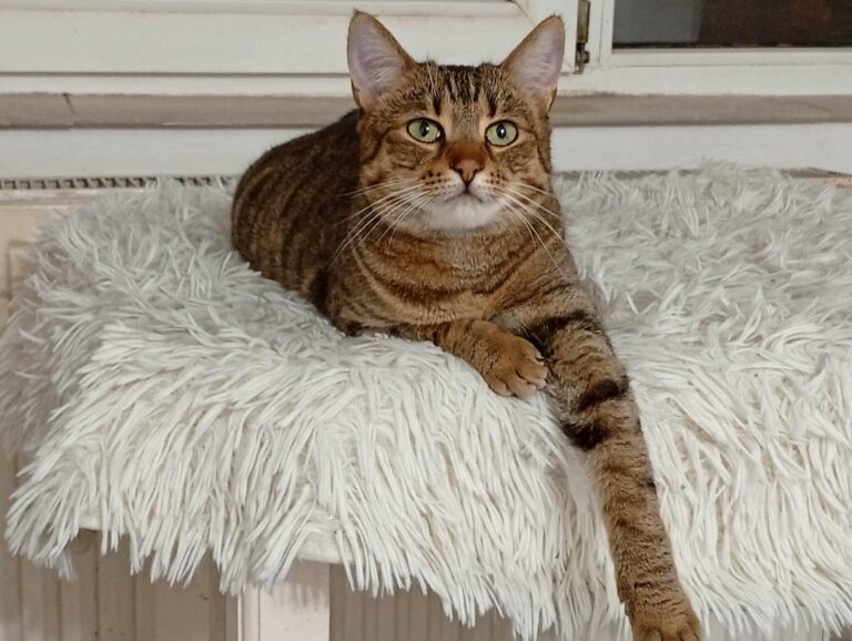 616582654_820447884356259_2675822962529162974_n