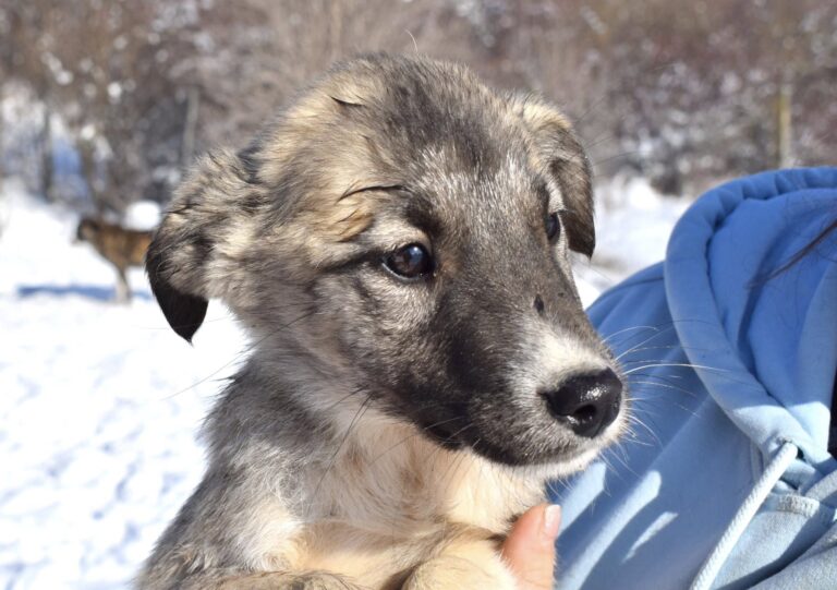 616606661_4175598019356668_6342392828911696428_n