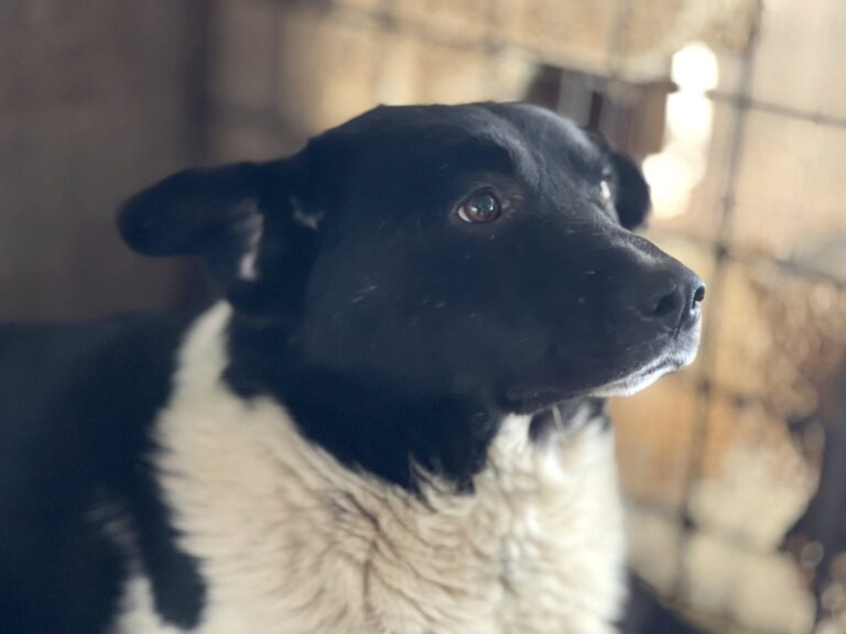 616720722_4173603686222768_4244184959147475245_n