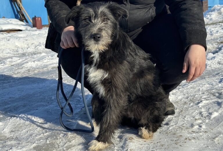 616780542_122118507999012423_5608469124292265925_n