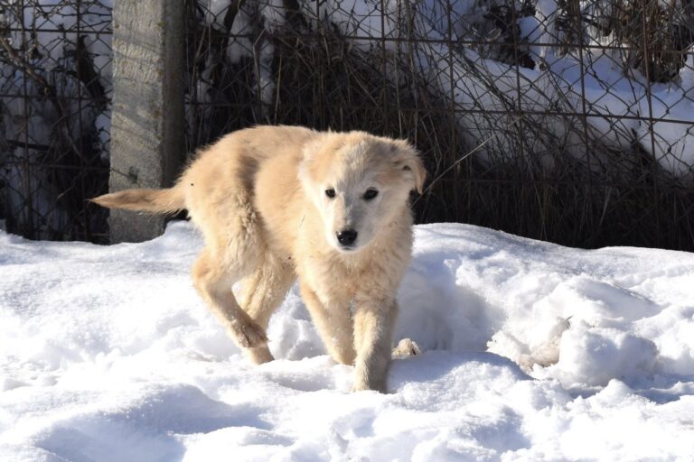 616806969_4175584182691385_2665532239646259550_n