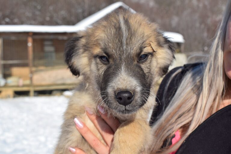 616807158_4175684202681383_3623939982668091013_n