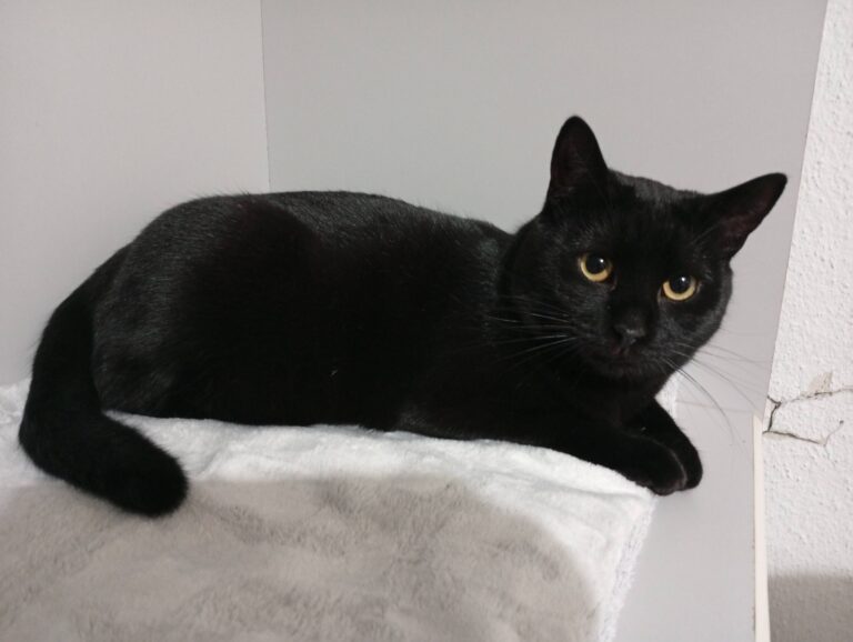 616827553_26045694831701471_2569181808765844332_n