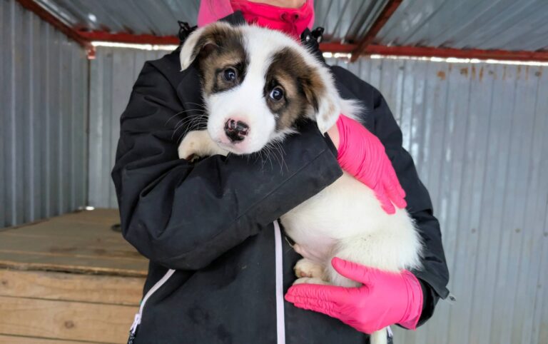 616938763_25583955107963569_3715914248682454128_n