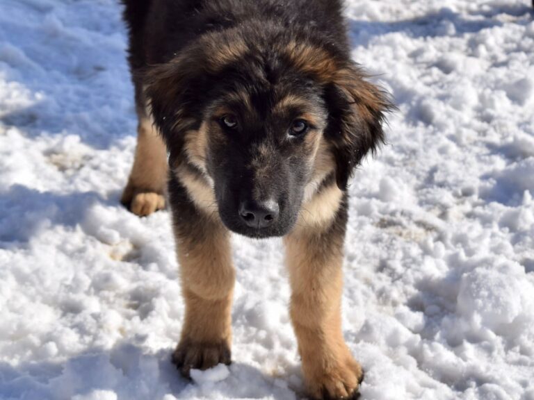 617011729_4175702162679587_1884567795672069750_n