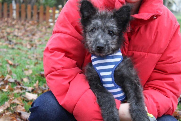 617139244_25583726254653121_2326040784143218407_n