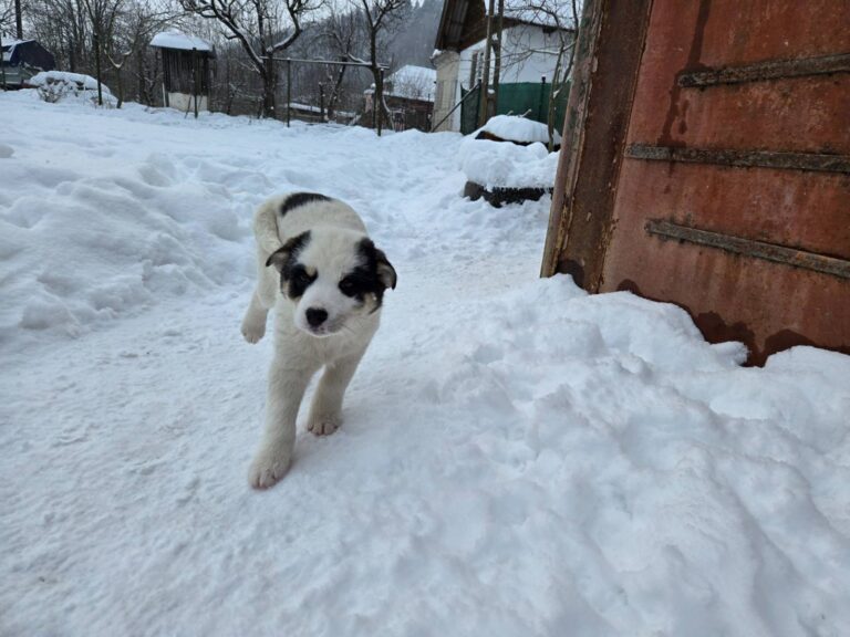 617477494_3090633414465768_7428105258898073330_n