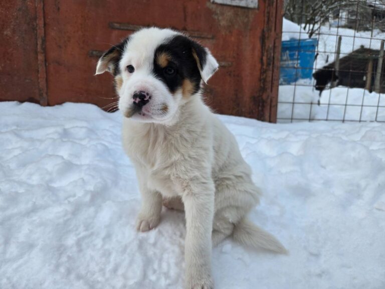 618193801_3090630877799355_725049092064727433_n