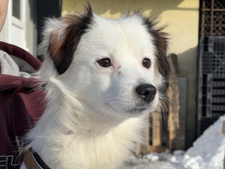 618356846_4179264042323399_1232502228393945269_n