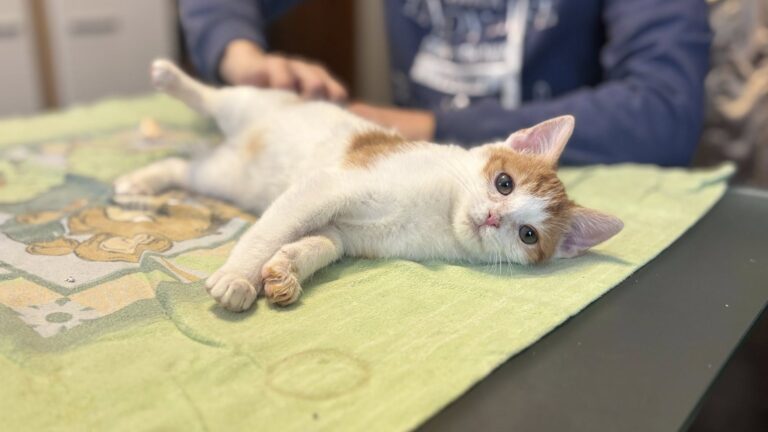 618564612_122227767002122691_7885058400310858347_n