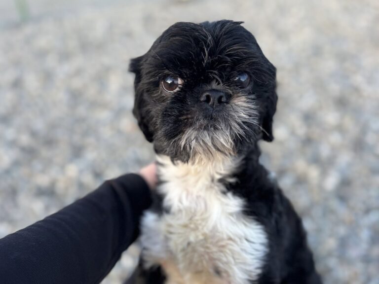 618578460_3338308553000981_8406981148680971081_n