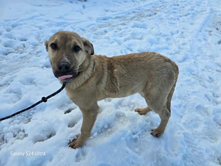 621747008_10241221149649702_8858856458336418678_n