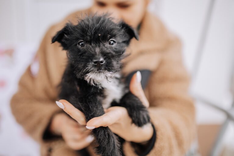 621829685_3344633849035118_8414413560051006084_n