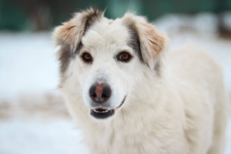 621888365_3241110266067087_2923279832804945000_n