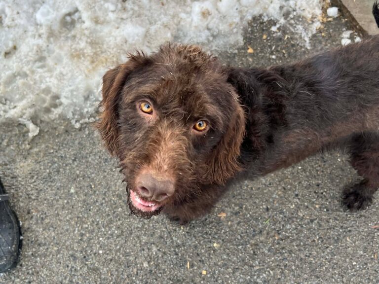 622574717_1481309433464417_6603754071123583525_n