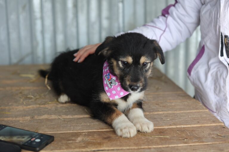 622795619_25682705561421856_5871727728496206720_n