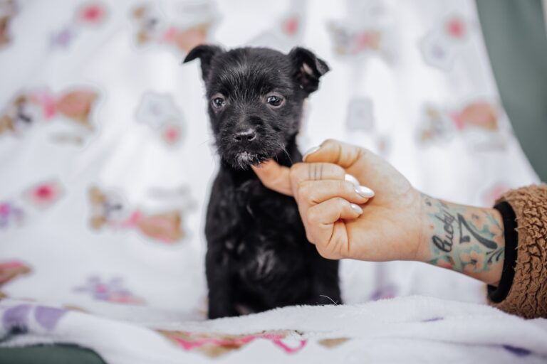 623209115_3344644989034004_5704159012380678845_n